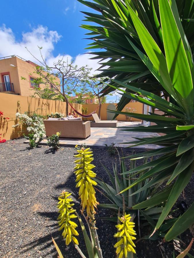 Casa Zalla 110M2, 200M2 Garden, Pool, 1Gb Wi-Fi, Private Parking Corralejo Exteriér fotografie